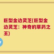 巨型金边灵芝(巨型金边灵芝：神奇的草药之王)