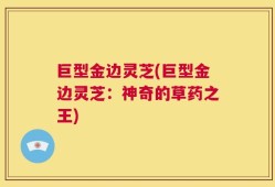 巨型金边灵芝(巨型金边灵芝：神奇的草药之王)