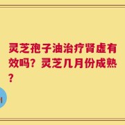 灵芝孢子油治疗肾虚有效吗？灵芝几月份成熟？