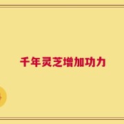 千年灵芝增加功力