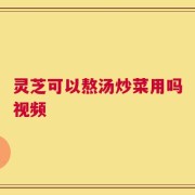 灵芝可以熬汤炒菜用吗视频