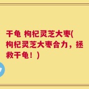 干龟 枸杞灵芝大枣(枸杞灵芝大枣合力，拯救干龟！)