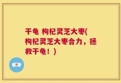 干龟 枸杞灵芝大枣(枸杞灵芝大枣合力，拯救干龟！)
