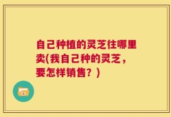 自己种植的灵芝往哪里卖(我自己种的灵芝，要怎样销售？)