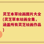 灵芝本草绘画图片大全(灵芝草本绘画全集，涵盖所有灵芝绘画作品)