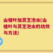 山楂叶加灵芝泡水(山楂叶与灵芝泡水的功效与方法)