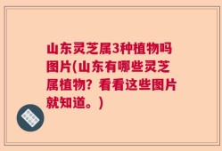 山东灵芝属3种植物吗图片(山东有哪些灵芝属植物？看看这些图片就知道。)