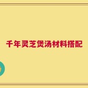 千年灵芝煲汤材料搭配