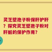 灵芝壁孢子粉保肝护肝？探究灵芝壁孢子粉对肝脏的保护作用？