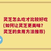 灵芝怎么吃才比较好吃(如何让灵芝更美味？灵芝的食用方法推荐)