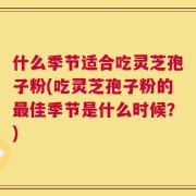 什么季节适合吃灵芝孢子粉(吃灵芝孢子粉的最佳季节是什么时候？)