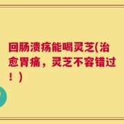 回肠溃疡能喝灵芝(治愈胃痛，灵芝不容错过！)