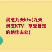 灵芝九天ktv(九天灵芝KTV：享受音乐的绝佳去处)