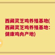 西藏灵芝鸡养殖基地(西藏灵芝鸡养殖基地：健康鸡肉产地)