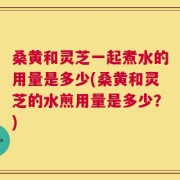 桑黄和灵芝一起煮水的用量是多少(桑黄和灵芝的水煎用量是多少？)