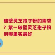 破壁灵芝孢子粉的需求？紫一破壁灵芝孢子粉到哪里买最好