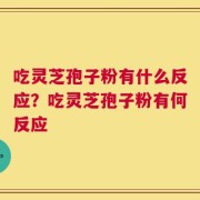 吃灵芝孢子粉有什么反应？吃灵芝孢子粉有何反应