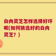 白肉灵芝怎样选择好坏呢(如何挑选好的白肉灵芝？)