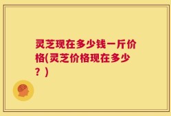 灵芝现在多少钱一斤价格(灵芝价格现在多少？)