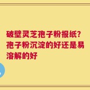 破壁灵芝孢子粉报纸？孢子粉沉淀的好还是易溶解的好