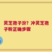 灵芝孢子汾？冲灵芝孢子粉正确步骤