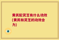 黄芪配灵芝有什么功效(黄芪和灵芝的功效合力)