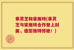 章灵芝和宋雨琦(章灵芝与宋雨琦合作登上封面，造型独特惊艳！)
