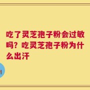吃了灵芝孢子粉会过敏吗？吃灵芝孢子粉为什么出汗