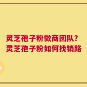 灵芝孢子粉微商团队？灵芝孢子粉如何找销路