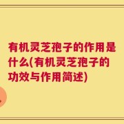 有机灵芝孢子的作用是什么(有机灵芝孢子的功效与作用简述)