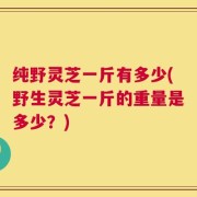 纯野灵芝一斤有多少(野生灵芝一斤的重量是多少？)