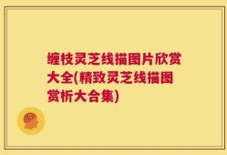 缠枝灵芝线描图片欣赏大全(精致灵芝线描图赏析大合集)