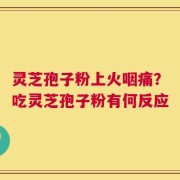 灵芝孢子粉上火咽痛？吃灵芝孢子粉有何反应