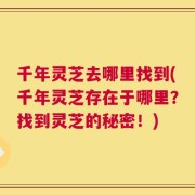 千年灵芝去哪里找到(千年灵芝存在于哪里？找到灵芝的秘密！)