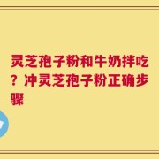 灵芝孢子粉和牛奶拌吃？冲灵芝孢子粉正确步骤