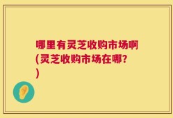 哪里有灵芝收购市场啊(灵芝收购市场在哪？)