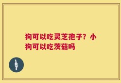 狗可以吃灵芝孢子？小狗可以吃茨菇吗