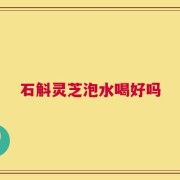 石斛灵芝泡水喝好吗