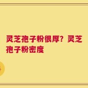 灵芝孢子粉很厚？灵芝孢子粉密度