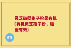 灵芝破壁孢子粉是有机(有机灵芝孢子粉，破壁有效)