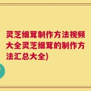 灵芝细茸制作方法视频大全灵芝细茸的制作方法汇总大全)