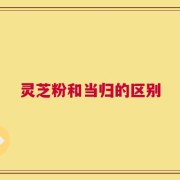 灵芝粉和当归的区别