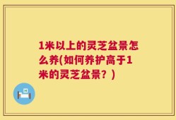 1米以上的灵芝盆景怎么养(如何养护高于1米的灵芝盆景？)