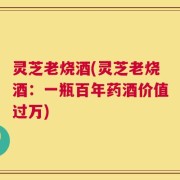 灵芝老烧酒(灵芝老烧酒：一瓶百年药酒价值过万)