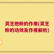 灵芝抱粉的作用(灵芝粉的功效及作用解析)