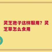 灵芝孢子这样服用？灵芝草怎么食用