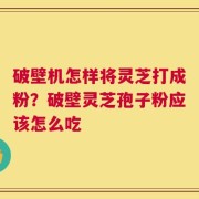 破壁机怎样将灵芝打成粉？破壁灵芝孢子粉应该怎么吃