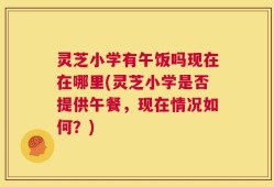 灵芝小学有午饭吗现在在哪里(灵芝小学是否提供午餐，现在情况如何？)