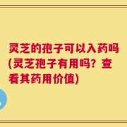 灵芝的孢子可以入药吗(灵芝孢子有用吗？查看其药用价值)