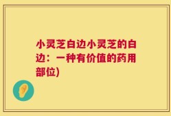 小灵芝白边小灵芝的白边：一种有价值的药用部位)